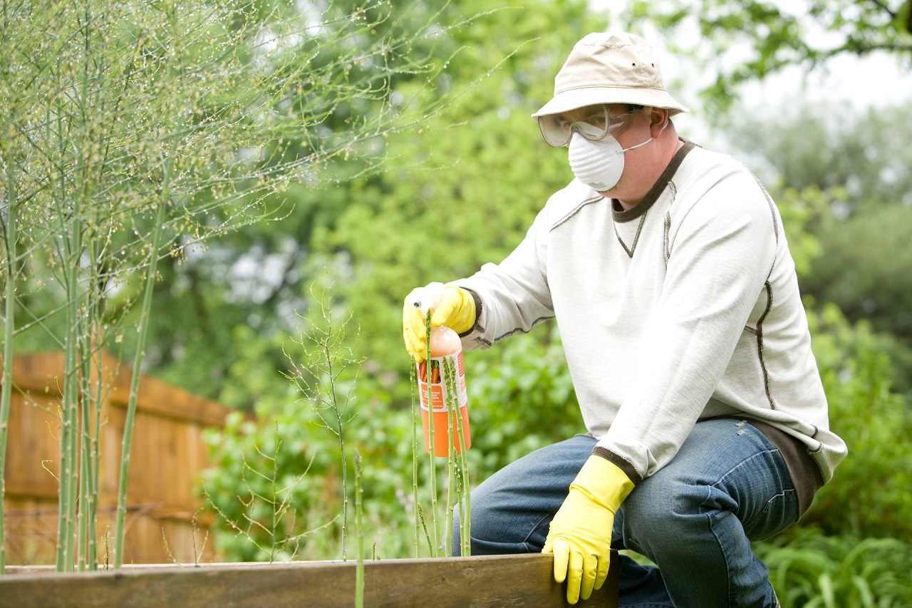 Jakich środki biologiczne używać do pielęgnacji ogrodu?
