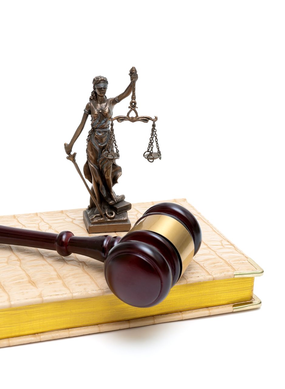 W jakich dziedzinach prawa pomaga nam prawnik?